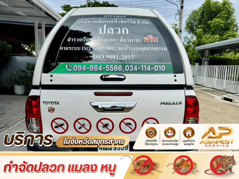 จำหน่ายอุปกรณ์ดักแมลงและผลิตภัณฑ์ควบคุมสัตว์รบกวน