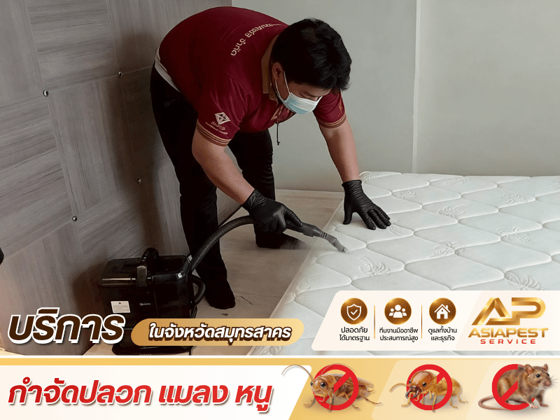 บริการ Pest Control แบบครบกระบวนการ_0