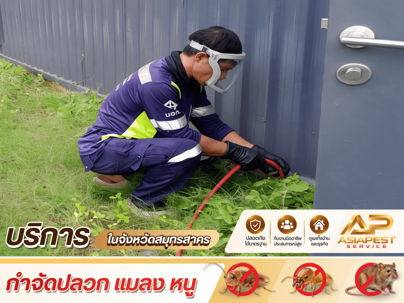 บริการรับกำจัดปลวกสำหรับ