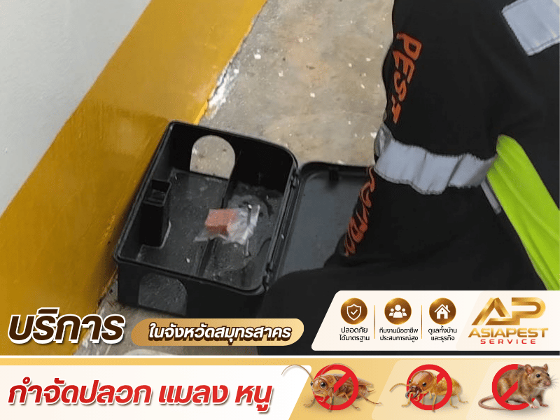 บริษัทรับกำจัดหนู สมุทรสาคร