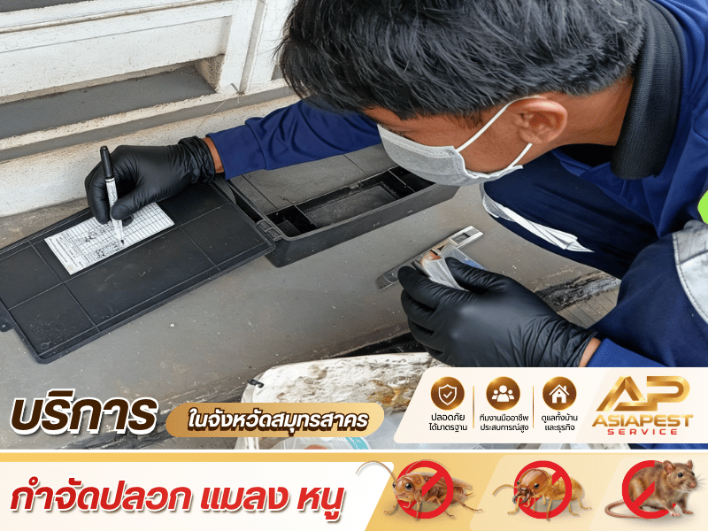บริษัทรับกำจัดแมลง สมุทรสาคร