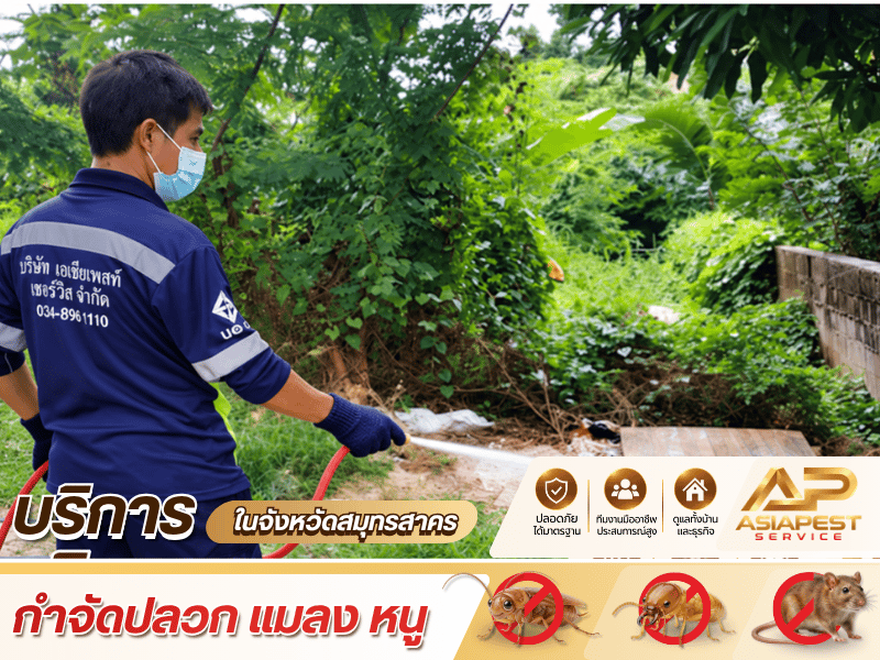 บริษัทรับกำจัดแมลงในสมุทรสาคร
