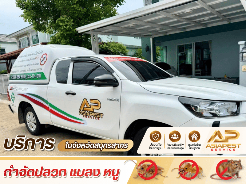 รับกำจัดปลวก สมุทรสาคร